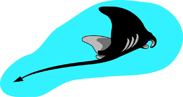 Sting Ray team mascot color vinyl sports decal. Customize to make it personal. Sting Ray 2